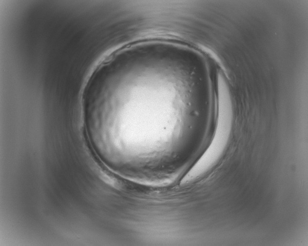 X0000070231371200606091706