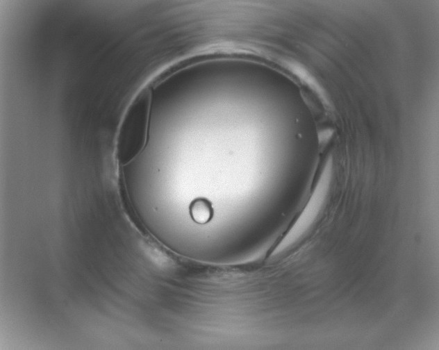 X0000070231372200606091706