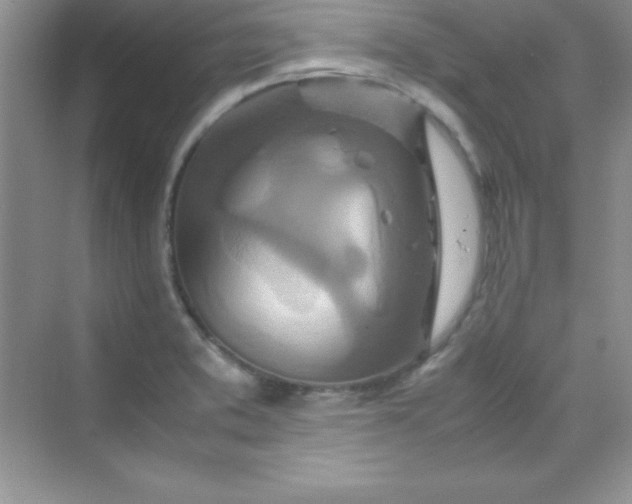 X0000070231373200606091706