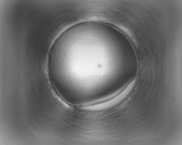 X0000070231374200606091706