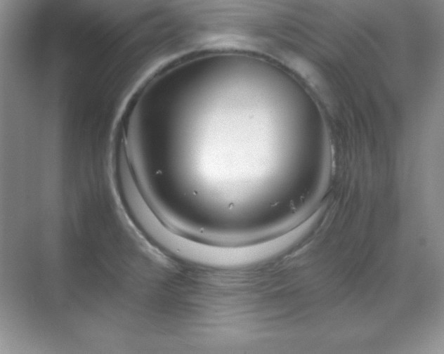 X0000070231376200606091706