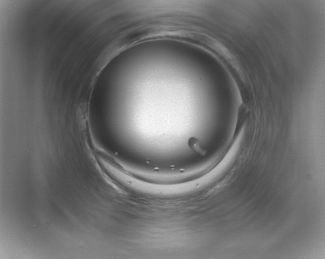 X0000070231377200606091706