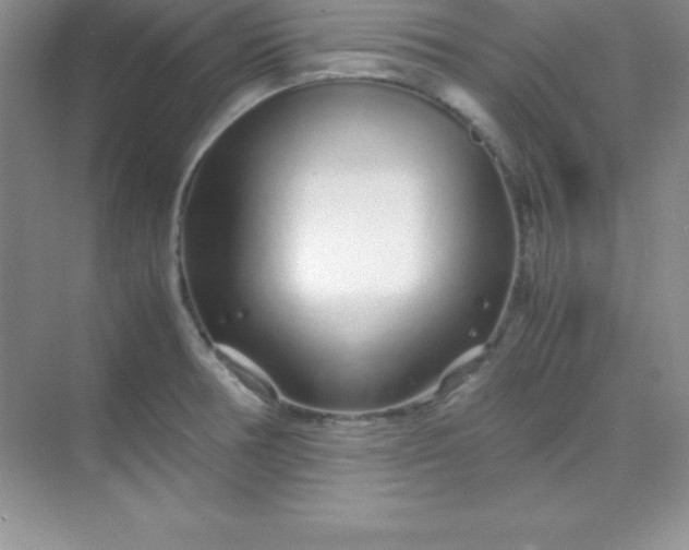 X0000070231378200606091706