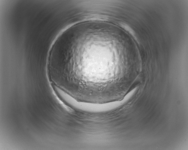 X0000070231379200606091706