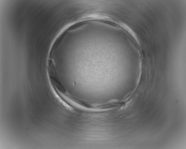 X0000070231381200606091706