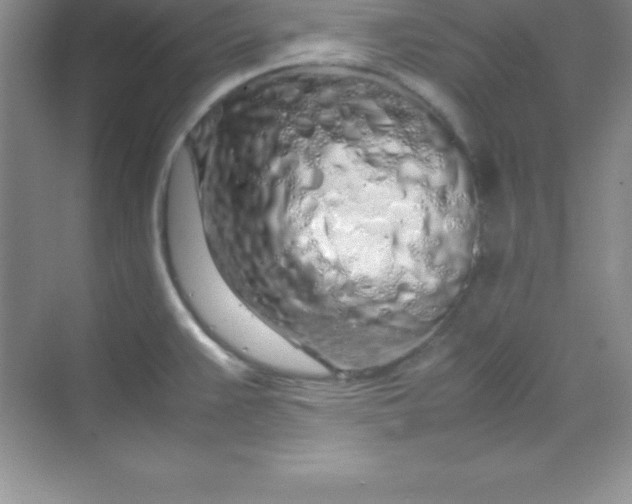 X0000070231383200606091706