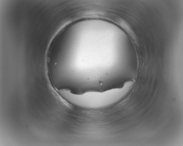 X0000070231384200606091706