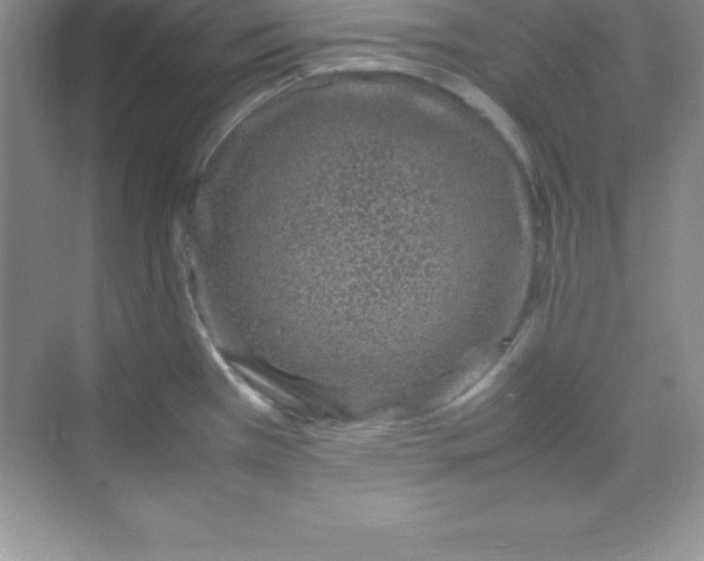 X0000070231385200606091706