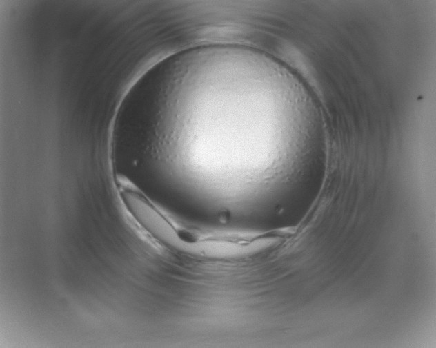 X0000070231386200606091706