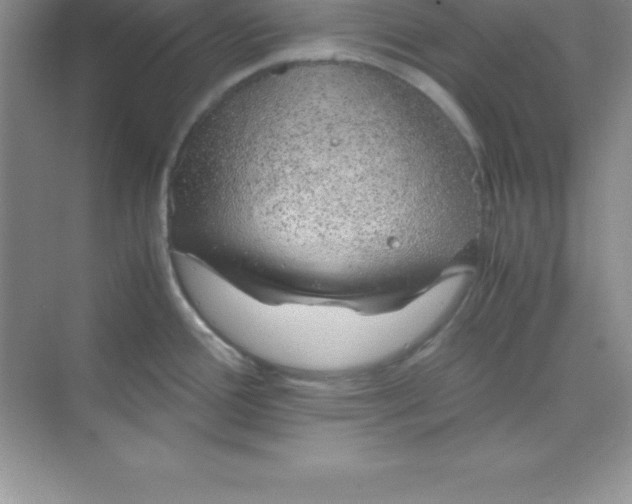 X0000070231388200606091706