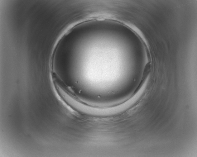 X0000070231389200606091705