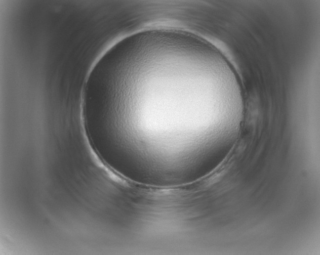 X0000070231390200606091705