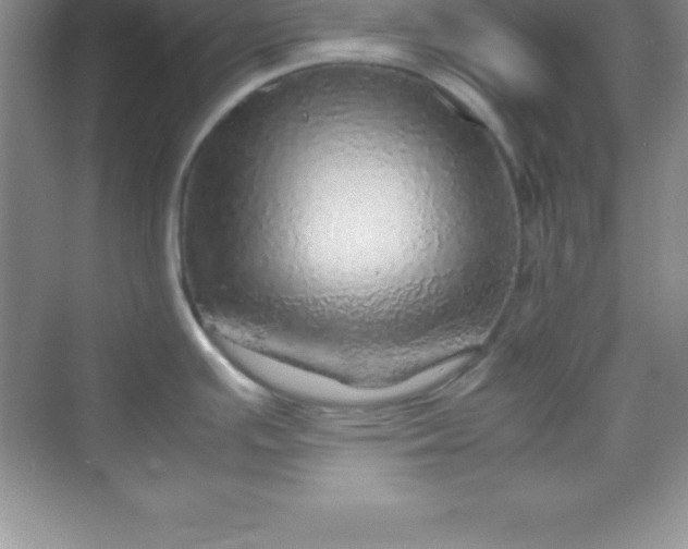 X0000070231391200606091705