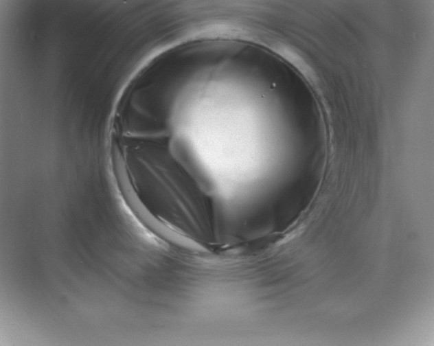 X0000070231392200606091705