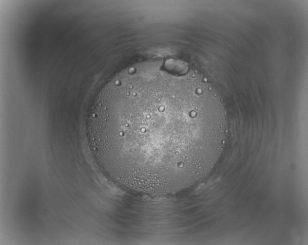 X0000070231393200606091705