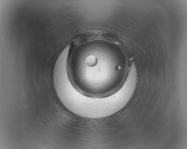 X0000070231394200606091705