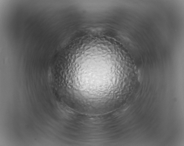 X0000070231395200606091705