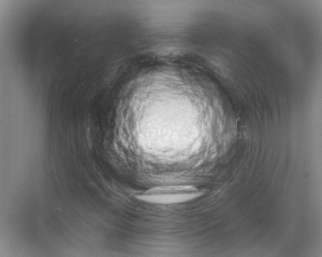 X0000070231396200606091705