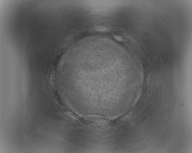 X0000070231397200606091705