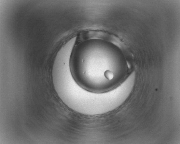 X0000070231398200606091705