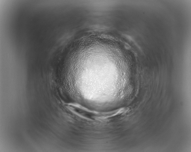 X0000070231399200606091705