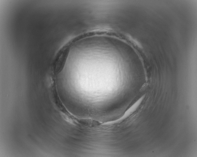 X0000070231400200606091705