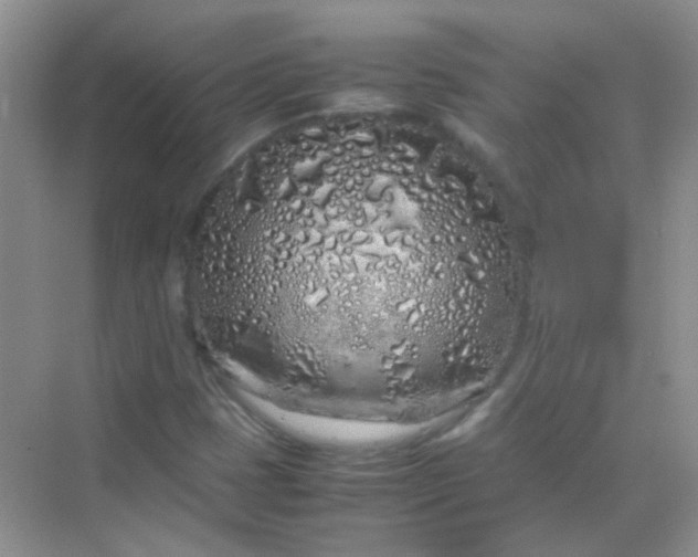 X0000070231401200606091705