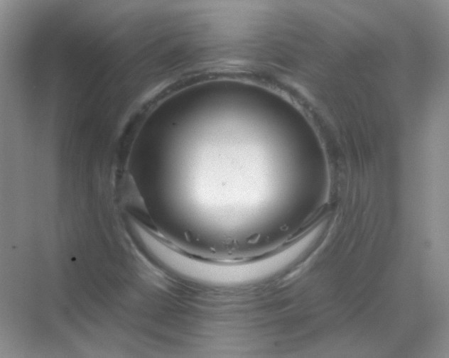 X0000070231402200606091705