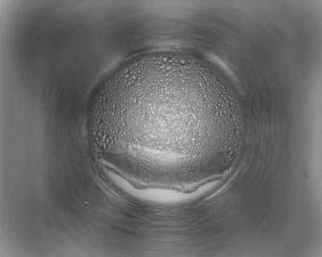 X0000070231403200606091705