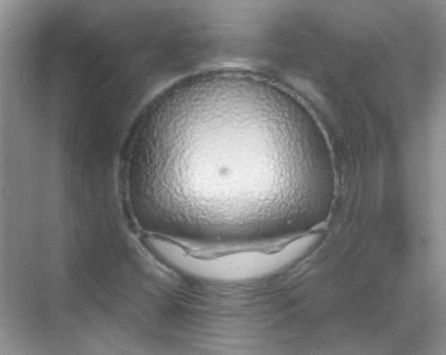 X0000070231404200606091705