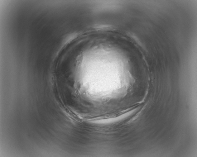 X0000070231405200606091705