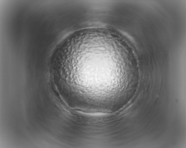 X0000070231407200606091705