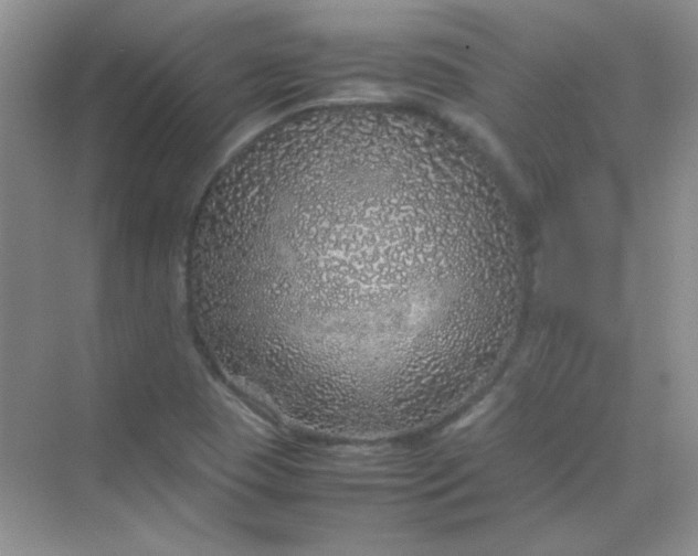 X0000070231409200606091705