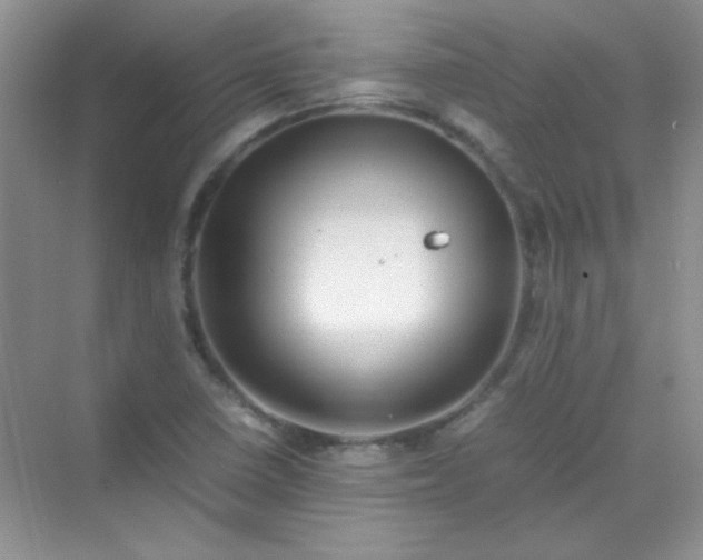 X0000070231410200606091705