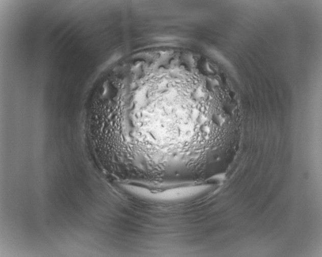 X0000070231411200606091705