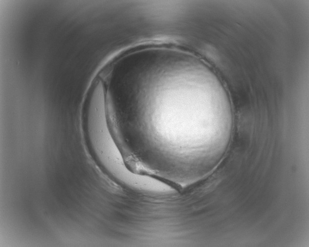 X0000070231412200606091705