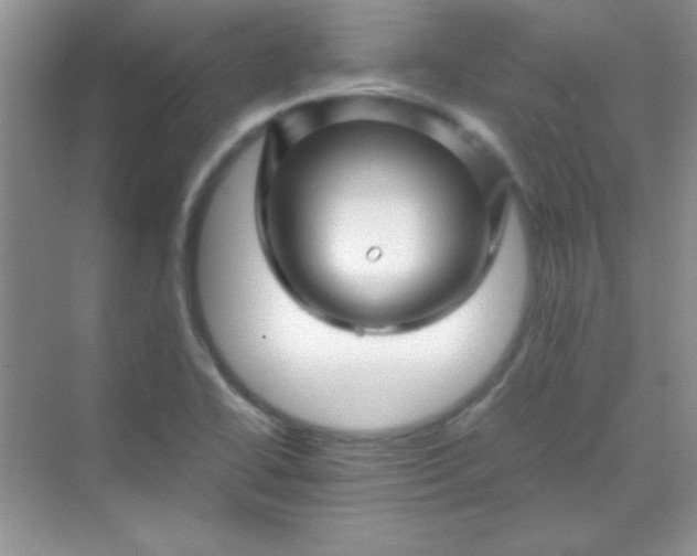 X0000070231414200606091705