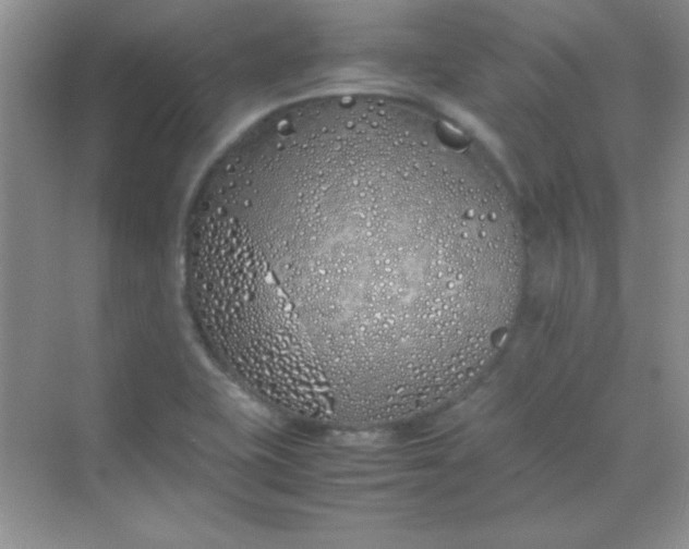 X0000070231415200606091705