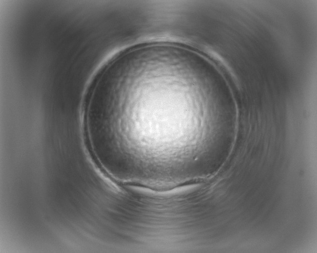 X0000070231416200606091705