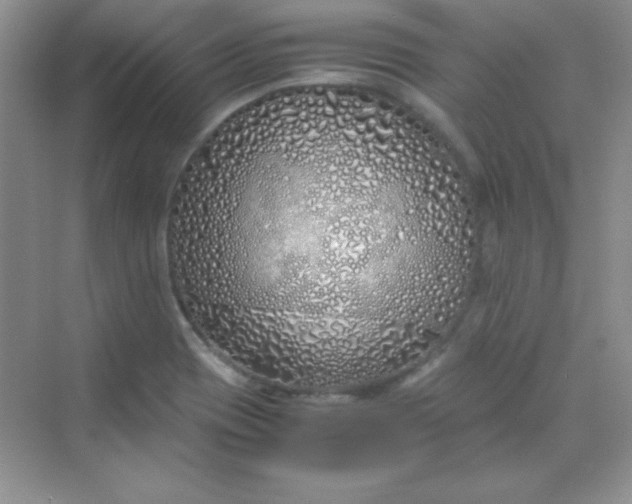 X0000070231417200606091705