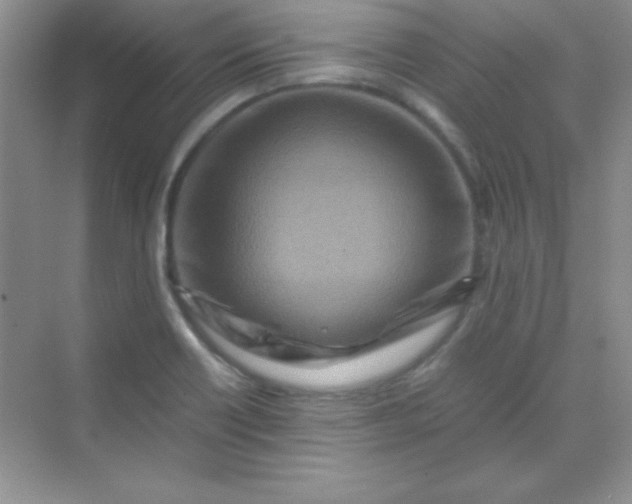 X0000070231418200606091705