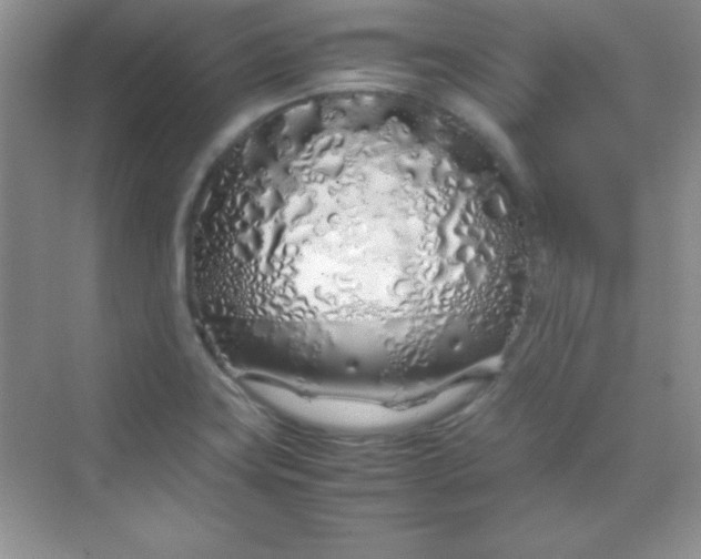 X0000070231419200606091705