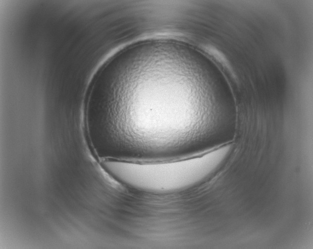 X0000070231420200606091705