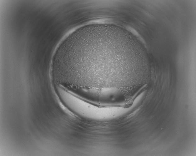 X0000070231421200606091705