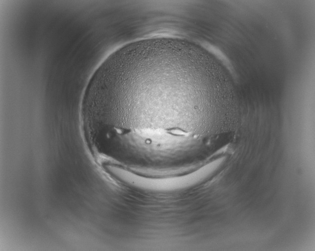 X0000070231423200606091705