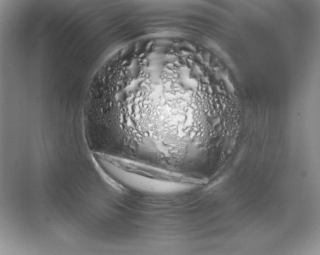 X0000070231425200606091705