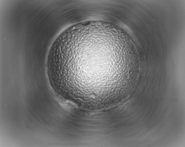 X0000070231427200606091705