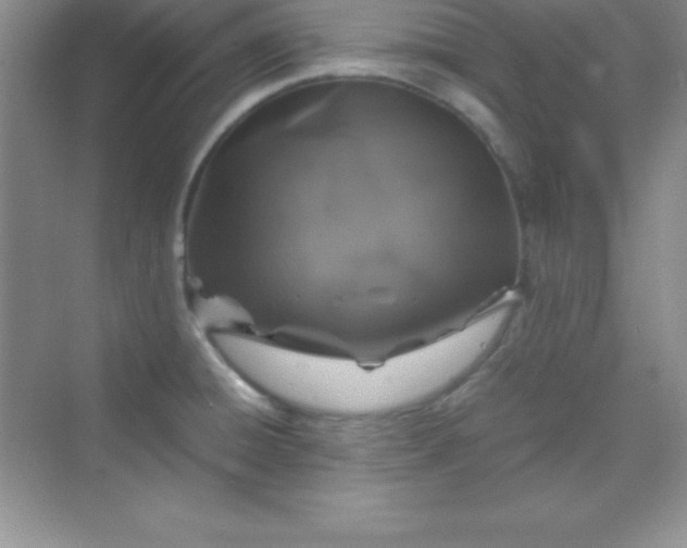 X0000070231428200606091705