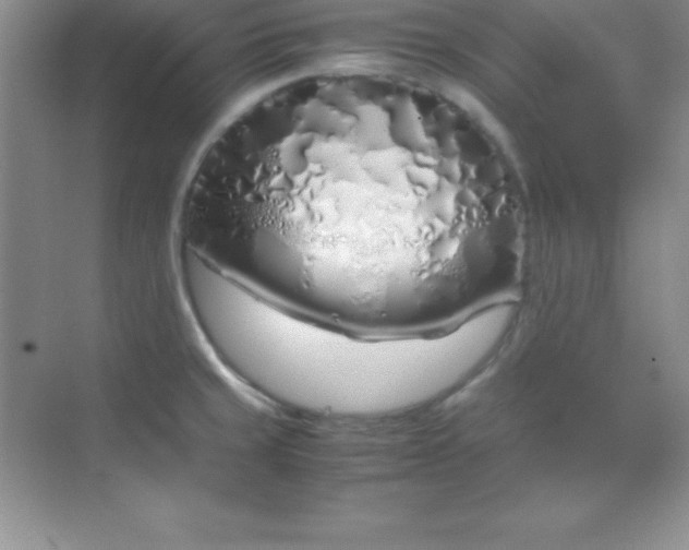 X0000070231429200606091705