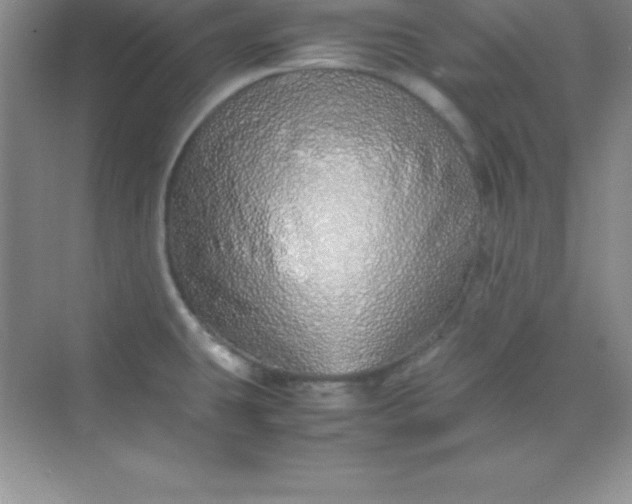 X0000070231431200606091705